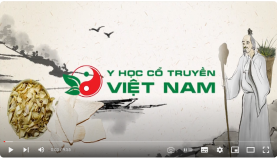 Dược Phẩm Tuệ Tĩnh – 10 năm vì sức khỏe cộng đồng