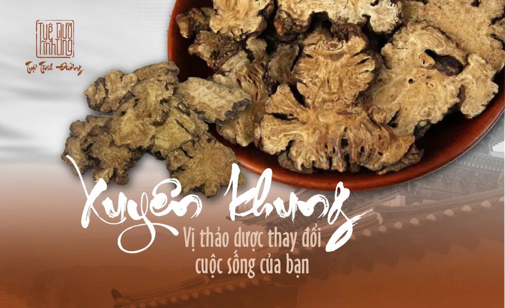 Lời khuyên từ chuyên gia: Dược liệu Xuyên khung có thực sự tốt?