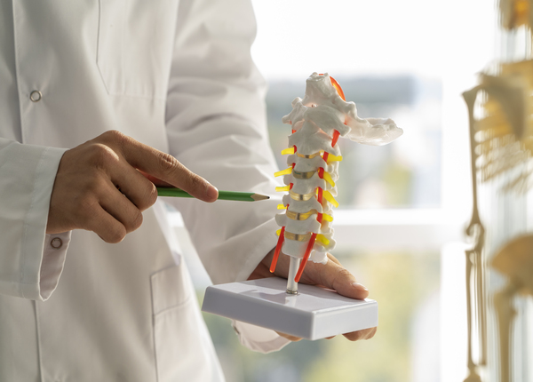 Thoái hóa cột sống là gì? Nguyên nhân, dấu hiệu và cách điều trị 